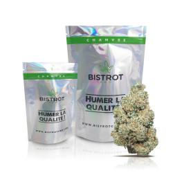 Hindu Kush CBD Serra 20,5% Bistrot CBD - 1