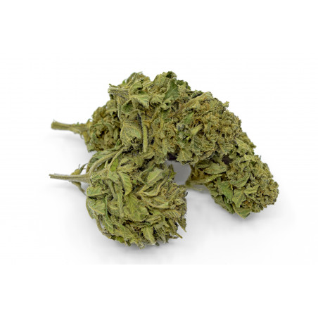 SUPER SILVER HAZE CBD OUTDOOR 18,7% Bistrot CBD - 2