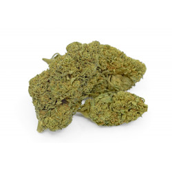 BANANA KUSH CBD SERRA 22,4% Bistrot CBD - 2