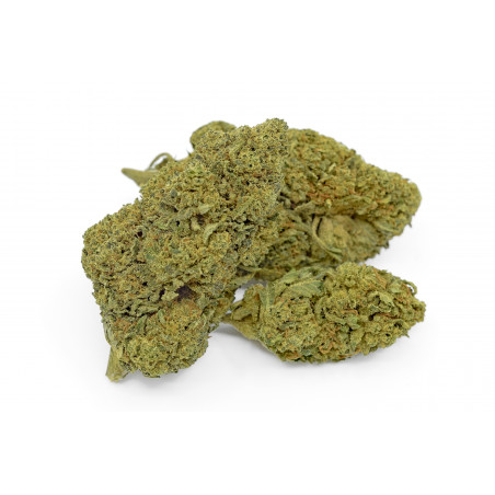 BANANA KUSH CBD SERRA 22,4% Bistrot CBD - 2