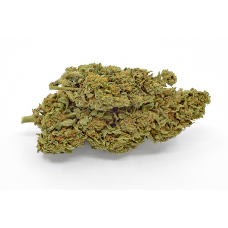 ZKITTLEZ CBD GEWÄCHSHAUS 23,9% Bistrot CBD - 2