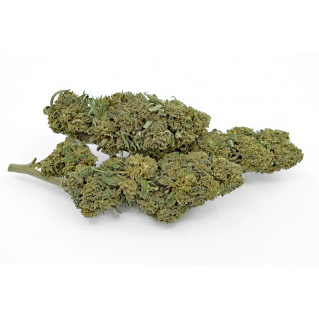 BISCOTTI CBD GREENHOUSE 25,8% Bistrot CBD - 2