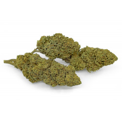 Amnesia CBD Premium Greenhouse 22,5% Bistrot CBD - 2