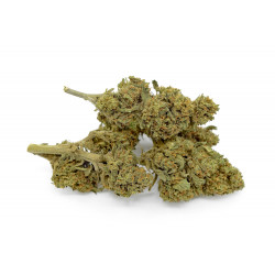 STRAWBERRY OUTDOOR CBD Premium 20.5% Bistrot CBD - 2