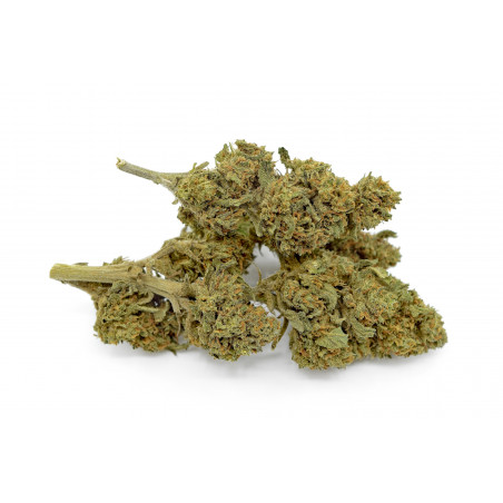 STRAWBERRY OUTDOOR CBD Premium 20,5% Bistrot CBD - 2