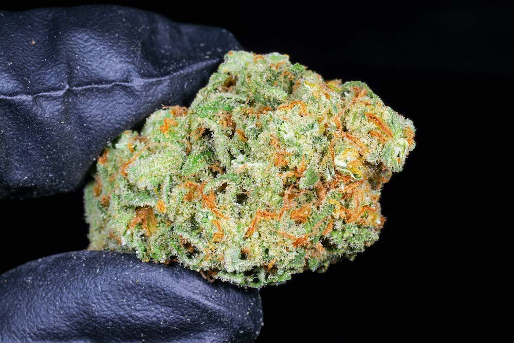 Super Lemon Haze: una flor de cannabis con un fuerte efecto Haze