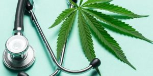 Franse wetgeving inzake therapeutische cannabis