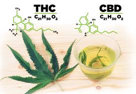 CBD a THC