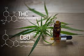 A little tour around the cannabinoids CBD and THC