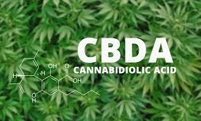 Le CBDa, un cannabinoïde mal connu