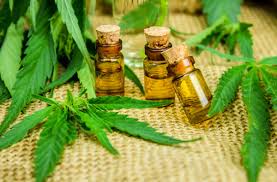 Los beneficios del aceite de CBD