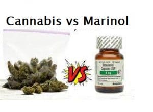 Cannabis vs. Marinol