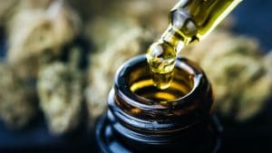 Cannabidiol oil