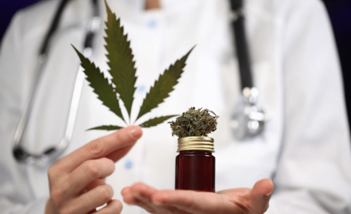 bienfaits du cannabidiol sur le corps et le cerveau