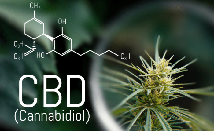 cannabidiol chanvre bien-être Nantes