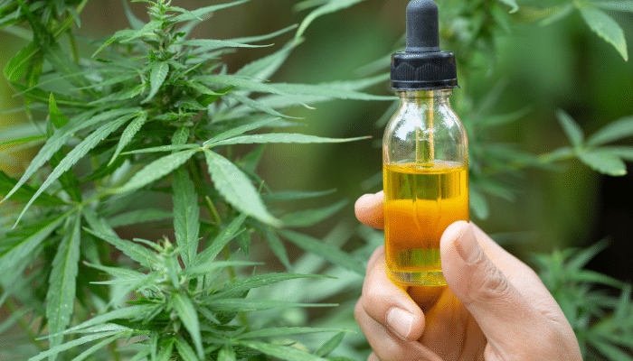 bienfaits prouvés du cannabidiol