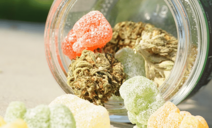 bonbons gummies de cannabidiol