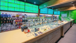Achat et livraison de cannabidiol pas cher à Strasbourg