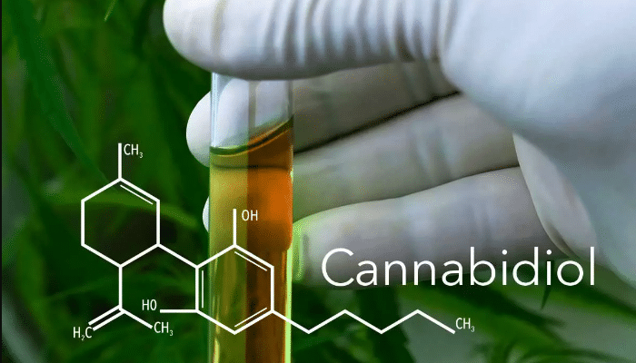 Che cos'è il cannabidiolo o il cannabioil o il cannabiolo