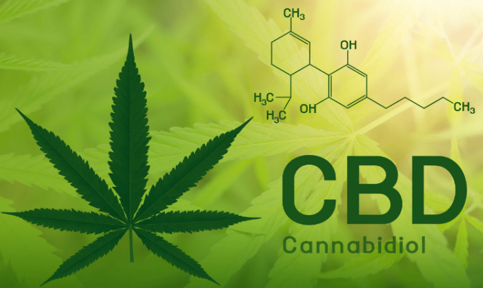 boom du cannabidiol en France