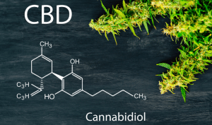 CBD boom à Lyon