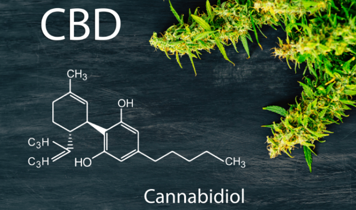 CBD boom à Lyon 6, Lyon 2, Lyon 4, Lyon 7