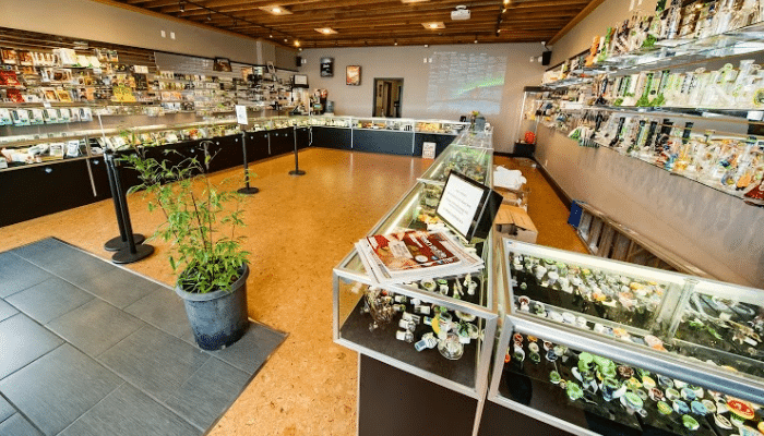 cbd shop lille